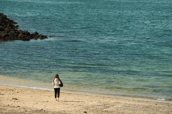 Les 10 aliments indispensables pour un régime protéiné